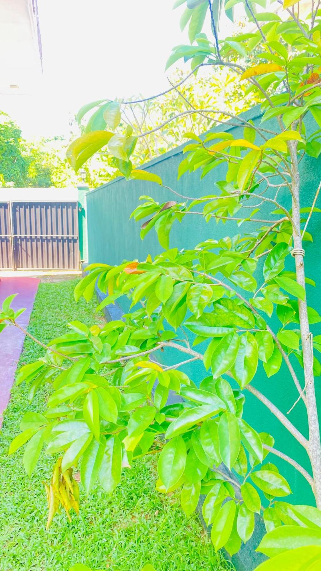 Sanasuma Villa Bentota Exterior foto